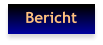 Bericht